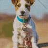 Cute Jack Russell Diamond Painting