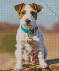 Cute Jack Russell Diamond Painting