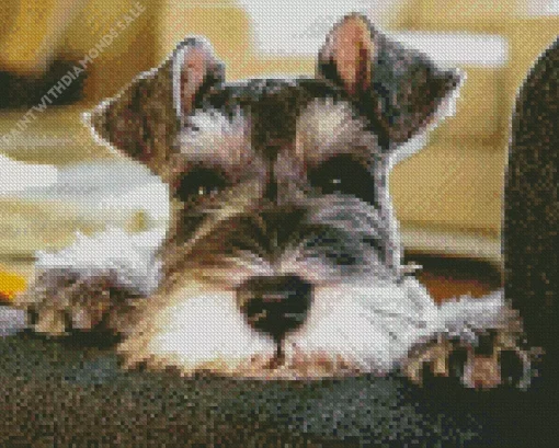 Cute Schnauzer Diamond Painting