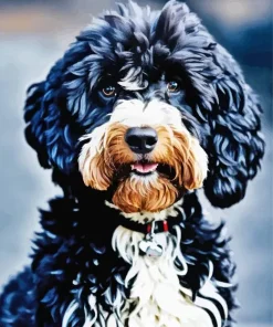 Cute Sheepadoodle Diamond Painting