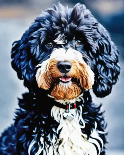 Cute Sheepadoodle Diamond Painting