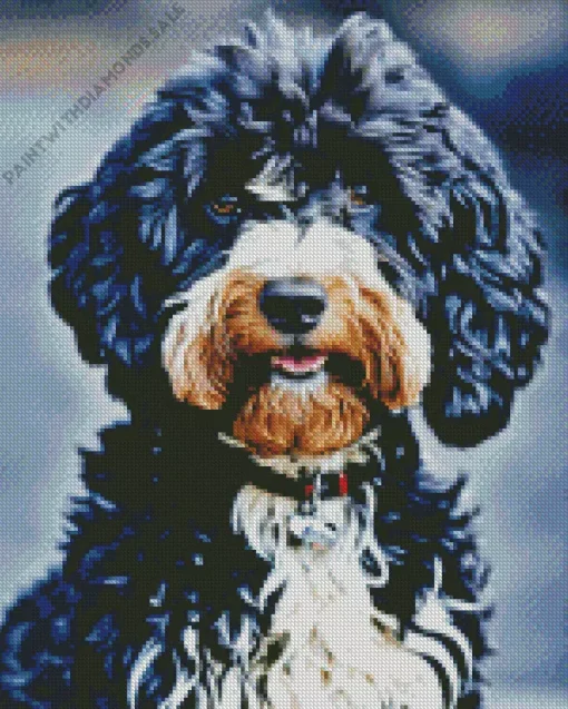 Cute Sheepadoodle Diamond Painting