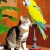 Cute Cat And Parakeet Diamond Painting