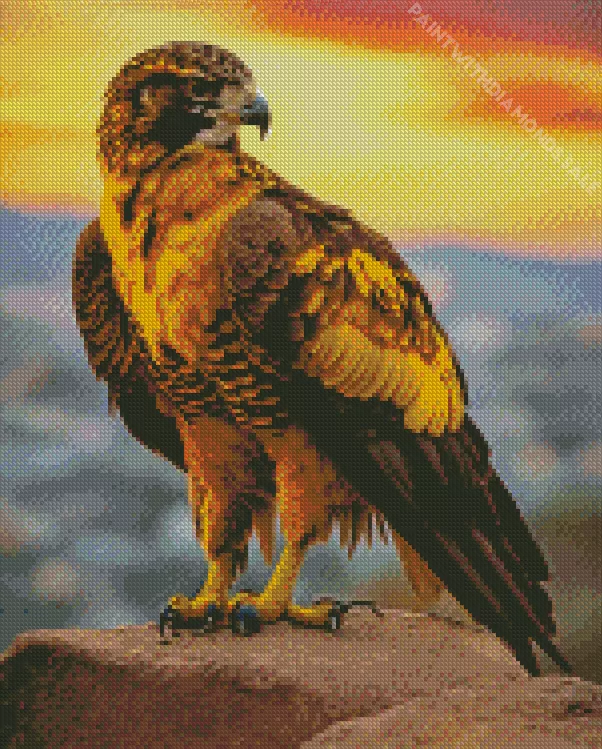 fierce Black Kite Diamond Paintings Fierce Black Kite Diamond Painting