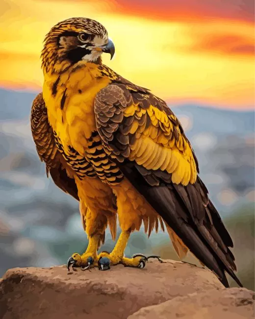 fierce Black Kite Diamond With Numbers Fierce Black Kite Diamond Painting