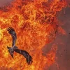 Fire Black Kite Diamond Painting