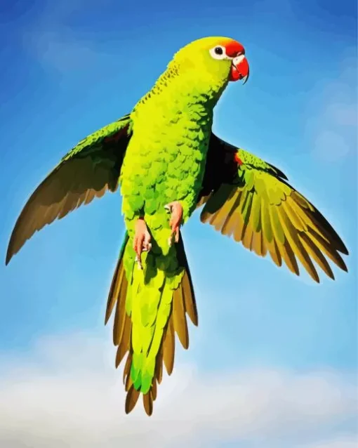 Flying Parakeet Diamond Painting