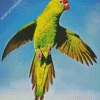 Flying Parakeet Diamond Painting