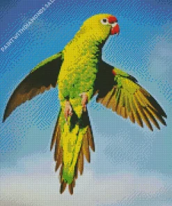 Flying Parakeet Diamond Painting