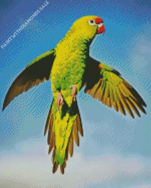 Flying Parakeet Diamond Painting