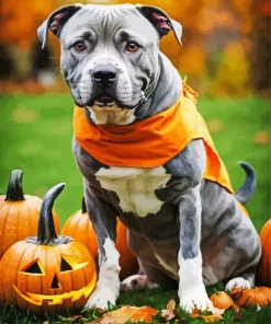 Halloween Pit bull Diamond Painting