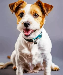 Happy Jack Russell Diamond Painting