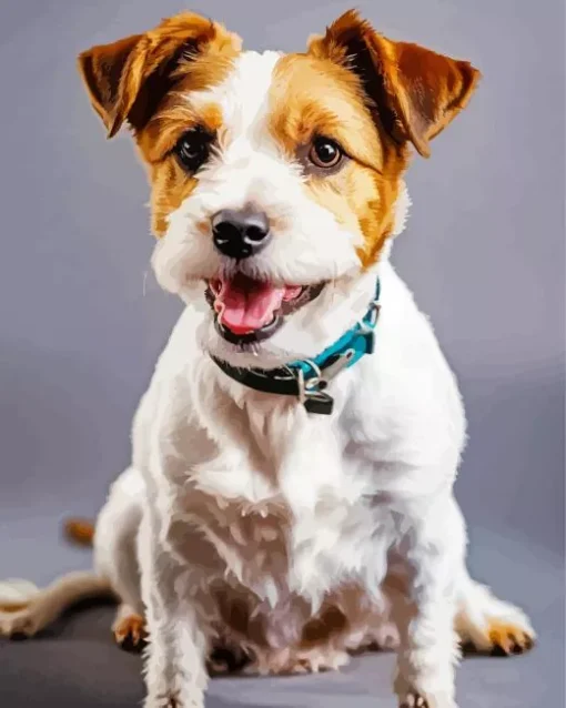 Happy Jack Russell Diamond Painting