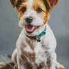 Happy Jack Russell Diamond Painting