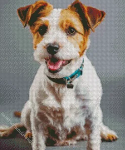 Happy Jack Russell Diamond Painting