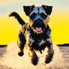 Happy Schnauzer Diamond Painting