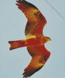 Orange Black Kite Flying Diamond Painting