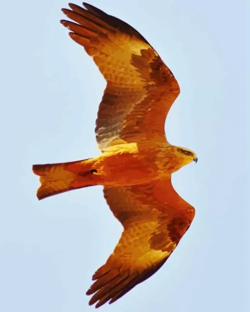 Orange Black Kite Flying Diamond Painting