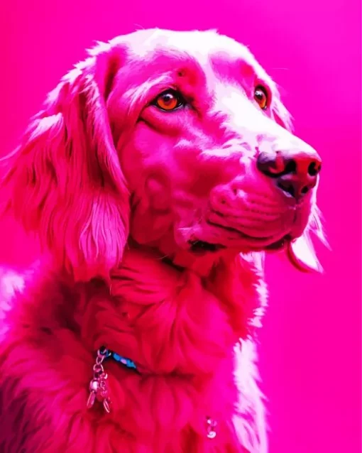 Pink Boykin Spaniel Diamond Painting