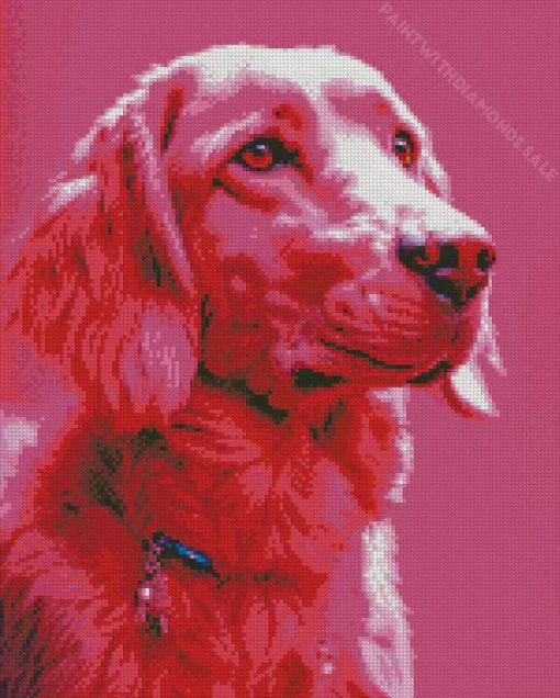 Pink Boykin Spaniel Diamond Painting