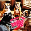 Poker Pit Bulls Diamond Painting