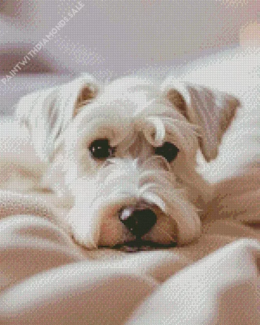 Sleepy Schnauzer Diamond Painting