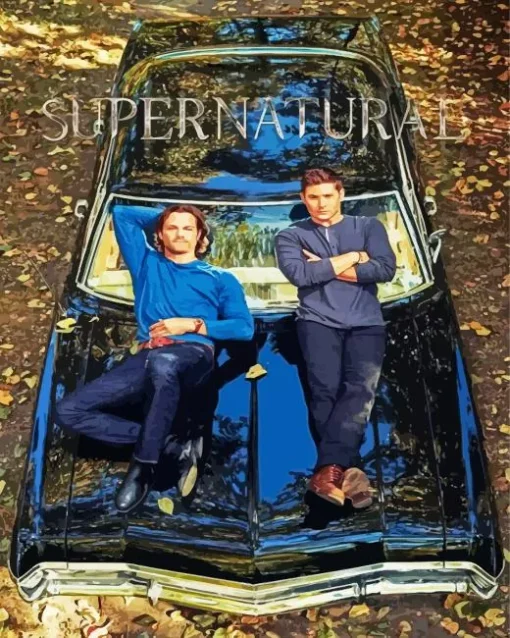 supernatural sam and dean Diamond Paints