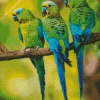 Three Parakeets Diamond Painting