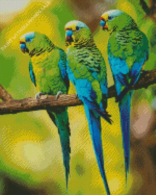 Three Parakeets Diamond Painting