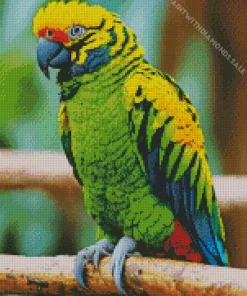 Tiger Parakeet Diamond Painting