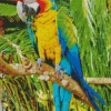 Tropical Parakeet Diamond Painting