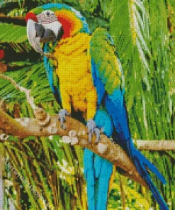 Tropical Parakeet Diamond Painting