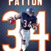 walter payton chicago bears player Diamond By Numbers