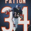 walter payton chicago bears player Diamond Paintings