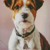 White Jack Russell Diamond Painting