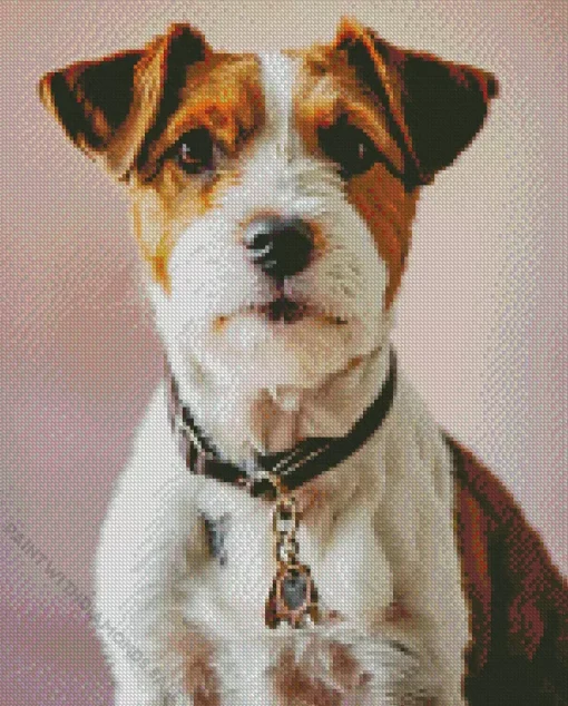 White Jack Russell Diamond Painting