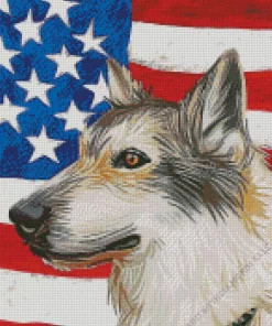 white wolf and american flag Art Diamond Painting