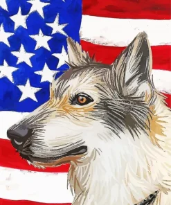 white wolf and american flag Art Diamond Painting