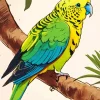 Yellow Parakeet Diamond Painting