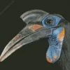Abyssinian Ground Hornbill Diamond Painting