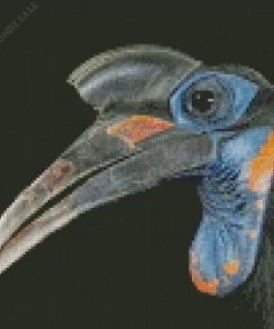 Abyssinian Ground Hornbill Diamond Painting