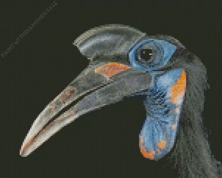 Abyssinian ground hornbill Diamond Dotz Abyssinian Ground Hornbill Diamond Painting