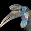 Abyssinian Ground Hornbill Diamond Painting