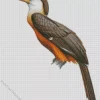 Austens Brown Hornbill Diamond Painting