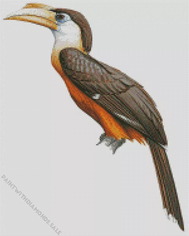 Austens brown hornbill Diamond Dotz Austens Brown Hornbill Diamond Painting