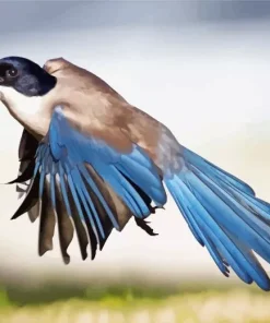 Azure Winged Magpie Bird Diamond Painting