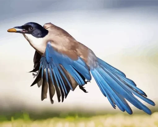 Azure Winged Magpie Bird Diamond Painting