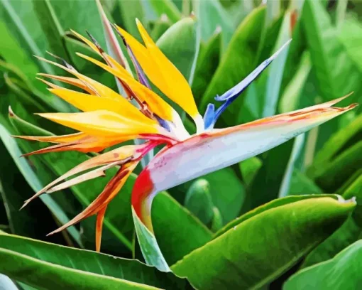 Bird of Paradise Plants Diamond Painting