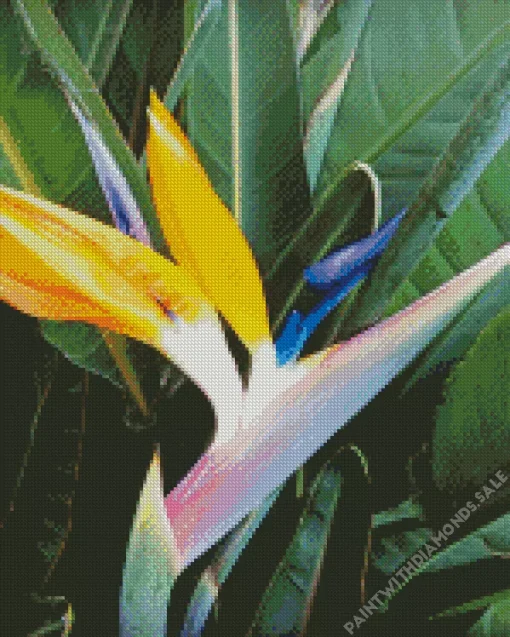 Bird Of Paradise Diamond Painting