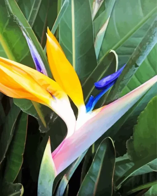 Bird Of Paradise Diamond Painting